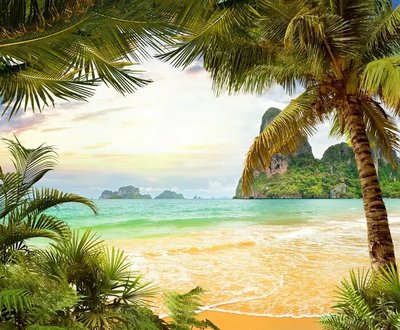 Фреска пляж с пальмами, острова Fre3883 фото