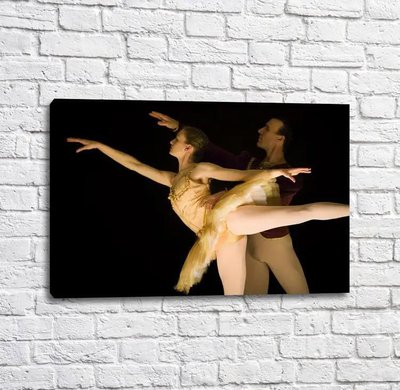 Постер Танцоры балета на черном фоне, балет Tan18195 фото