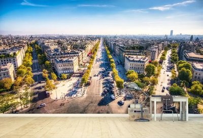 Fototapet Paris, vedere din Arcul Victoriei Vid1484 фото