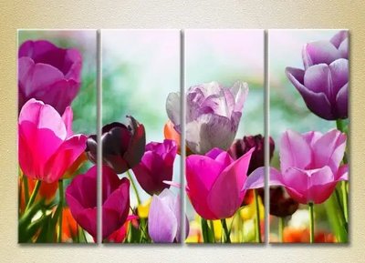 Модульные картины Поле разноцветных тюльпанов TSv7984 фото