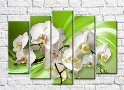 Ветка белой орхидеи на зеленом абстрактном фоне 3D5484 фото