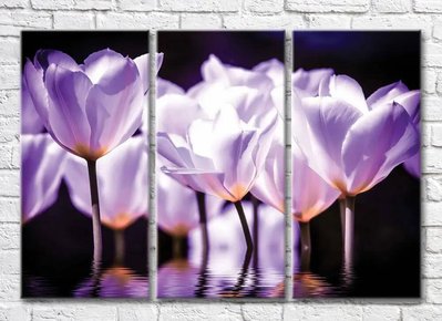 Триптих Сиреневые тюльпаны на черном фоне 3D7834 фото