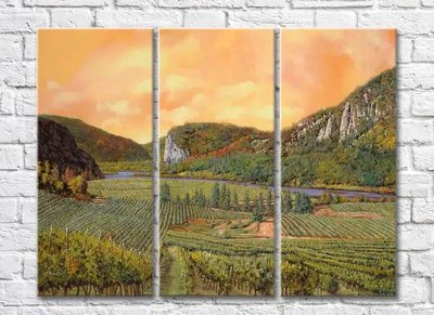 Триптих Vineyards In The Hills 004_1 Pro10234 фото