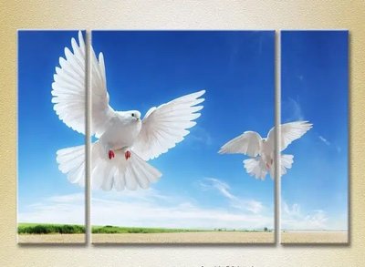 Модульные картины Два голубя в полете ZHi10534 фото