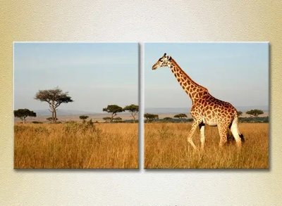 Модульные картины Жирафы, Африка_01 ZHi8884 фото