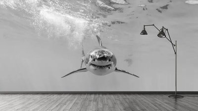 Фотообои Большая акула черно-белая Pod2335 фото