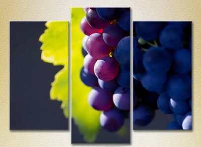 Imagini modulare Grapes Lydia Eda10785 фото