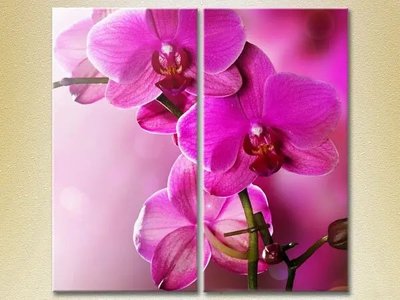 Модульные картины Фиолетовые орхидеи TSv6835 фото