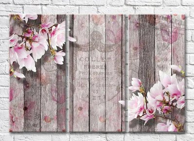 Триптих Розовая магнолия на винтажном дощатом фоне с надписями 3D7836 фото