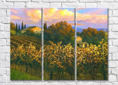 Триптих Vineyards In The Hills 002_1 Pro10236 фото