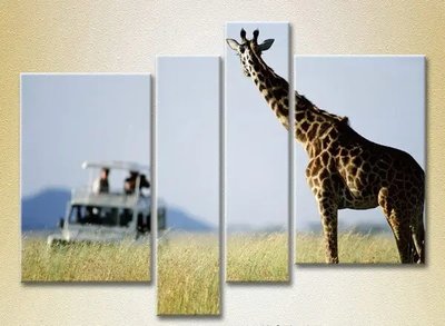 Модульные картины Жираф и туристы Gor6786 фото