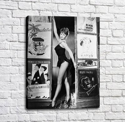 Постер Балерина в черно белом стиле, шоу балет Tan18198 фото