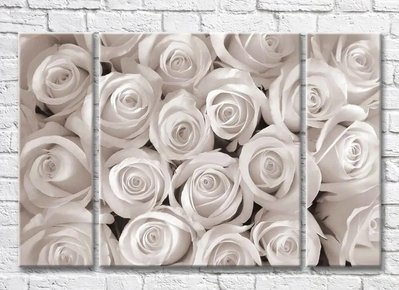 Triptic Flori de trandafiri monocromi 3D7787 фото