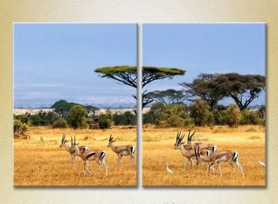 Модульные картины Африканский пейзаж_01 ZHi8787 фото