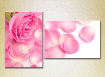 Tablouri modulare Trandafir roz si petale_01 TSv6837 фото