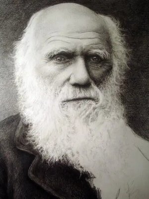 PhotoPoster Charles Darwin_02 Utc18062 фото