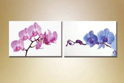 Модульные картины Орхидеи_0001 TSv6793 фото