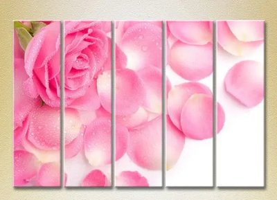 Tablouri modulare Trandafir roz si petale_02 TSv9843 фото
