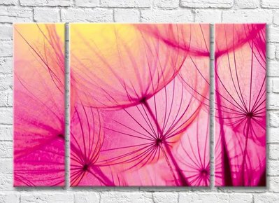 Триптих Абстракция из лепестков одуванчика на розовом фоне 3D7793 фото
