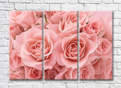 Buchet delicat de trandafiri roz TSv5443 фото