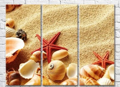 Триптих Морские звезды и ракушки на песчаном пляже Mor9943 фото