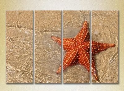 Модульные картины Морская звезда на берегу Mor9193 фото