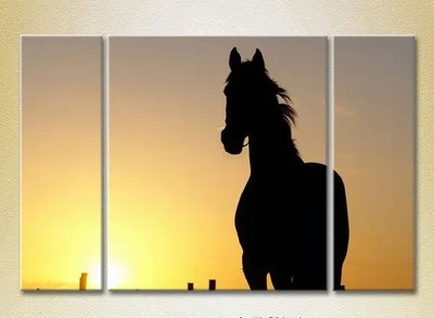 Модульные картины Силуэт лошади на закате ZHi10493 фото