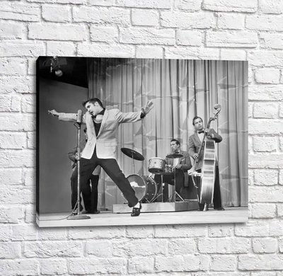 Poster Elvis Presley, cântând pe scenă, rock roll Tan18241 фото