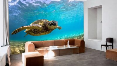 Фотообои Большая морская черепаха в море Pod3488 фото