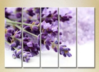 Tablouri modulare Lavender_03 TSv6988 фото