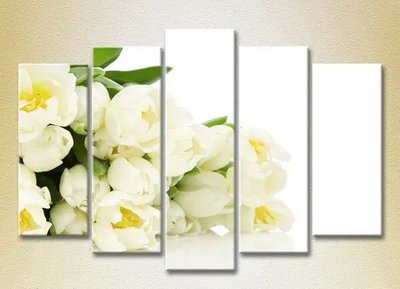 Модульные картины Букет белых тюльпанов_04 TSv7488 фото