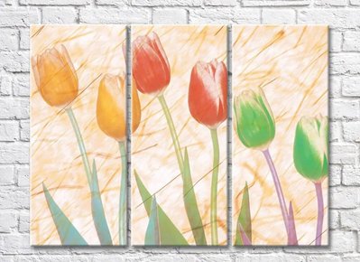 Триптих из разноцветных тюльпанов на бежевом абстрактном фоне TSv5738 фото