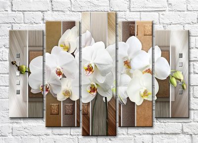 Белые орхидеи на серо коричневых фонах 3D5488 фото