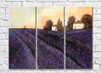 Триптих Lavender Field At Солнцеset 001_2 Pro10188 фото