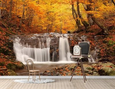 Фотообои Водопад на фоне желтой опавшей листвы Vod4788 фото