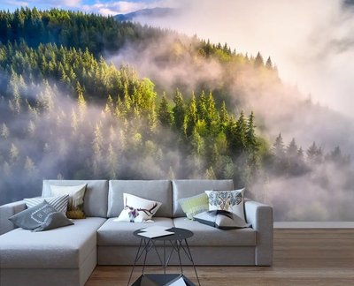 Скандинавский еловый лес в тумане Ska588 фото
