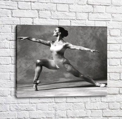 Poster Balerina în stil alb-negru, balet Tan18200 фото