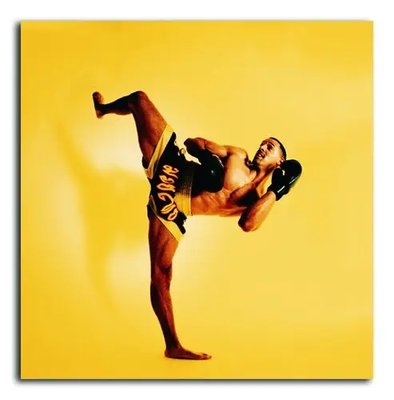 Poster foto Arte marțiale, un luptător în rafturi Edi17478 фото