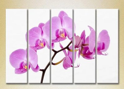 Модульные картины Орхидеи сиреневые_04 TSv7044 фото