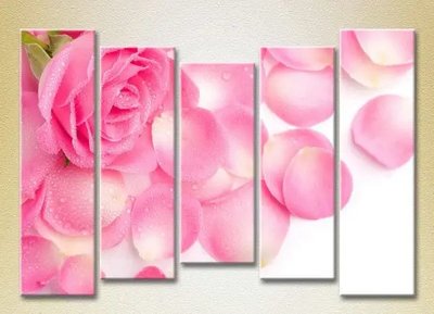 Модульные картины Розовая роза и лепестки_03 TSv10144 фото