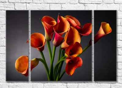 Триптих Оранжевые калы на черном фоне Ris9094 фото