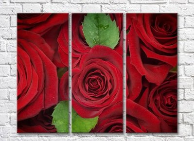 Цветочная абстракция из красных роз и листьев TSv5644 фото