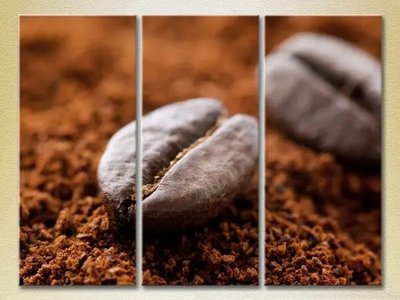 Модульные картины Молотое кофе и зерна Eda10694 фото