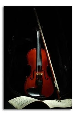 PhotoPoster Carte de vioară și muzică Ins17479 фото
