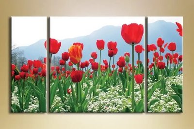Модульные картины Поле тюльпанов TSv10245 фото