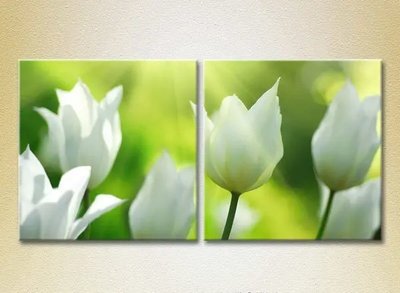Модульные картины Белые тюльпаны TSv6845 фото