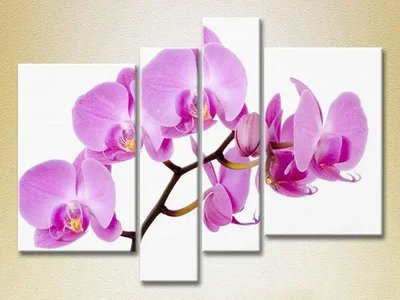 Модульные картины Орхидеи сиреневые TSv7995 фото