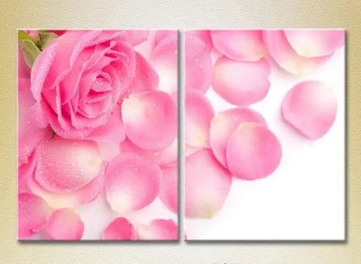 Tablouri modulare Trandafir roz și petale TSv6796 фото