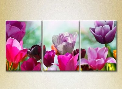 Модульные картины Поле разноцветных тюльпанов_01 TSv10246 фото