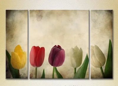 Модульные картины Разноцветные тюльпаны_01 TSv10296 фото